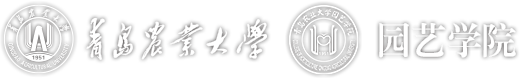bevictor伟德